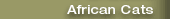 African Cats