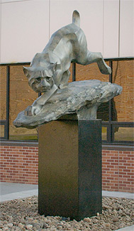 Bob Cat