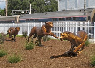 Cheetahs on the Run with Amtrak