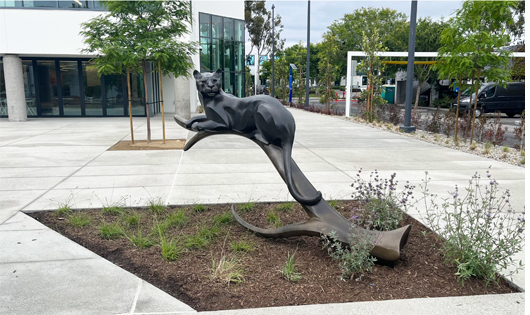 Panther on Display at Chapman University